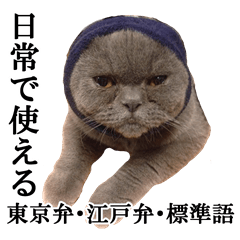 ぶさかわいい猫の実写スタンプ標準語江戸弁