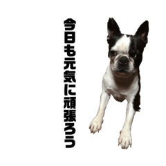 shiho_20220831025320