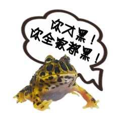 蛙寶有趣日常用語