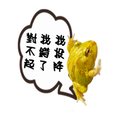 蛙寶日常用語