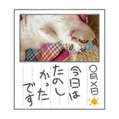 mizuki_20220830182703