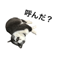 shiho_20220830193339