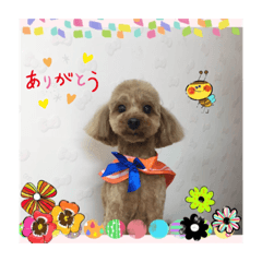 Shin_20220830204700