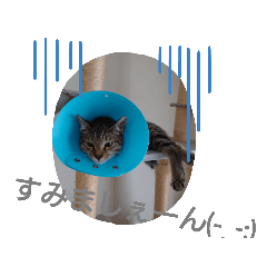 kumi_202208302124161