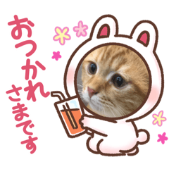 MONAKA_20220830195637