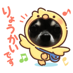sachiko_20220830214226