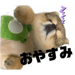 Mizuki_20220830234027