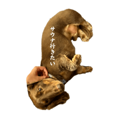 kii_20220831110623