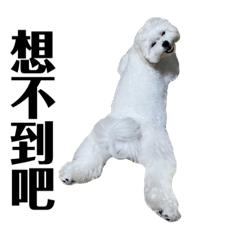 軟趴趴の黑皮小偷比