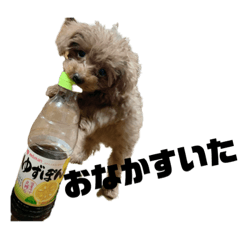 NATSUMI_20220831115018