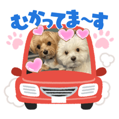 latte.mocha_20220831135513