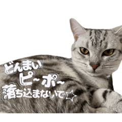 kuu_20220831110849