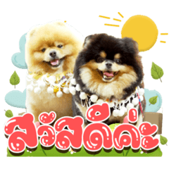 Pom Family EP5