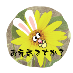 sakurako_20220831144931