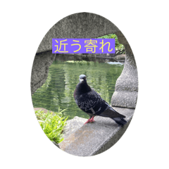 Hana_statu