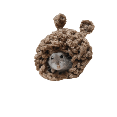 hamstar Kotsubu