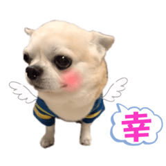 Arisa_20220830212256