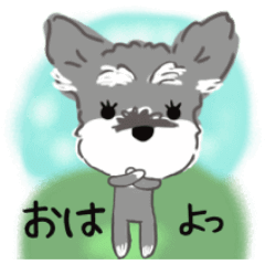 fluffy and cute shuna wheat that moves
