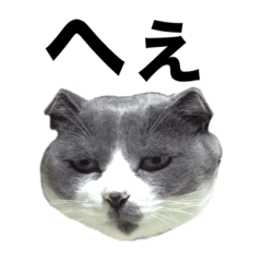 shiho_20220831163717