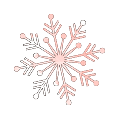 Colorful SNOW_017
