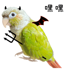 親親鳳梨小太陽 03