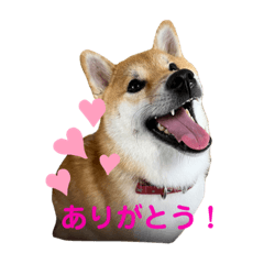yuka_20220831190109