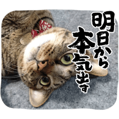 Hiyori_20220831194347