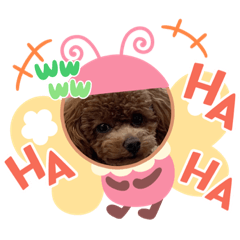 Mizuki_20220831195453