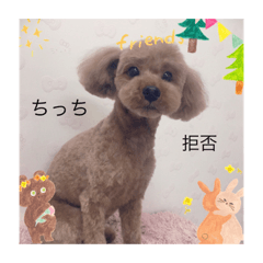 Shin_20220831221837