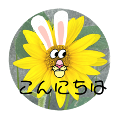 sakurako_20220831223205