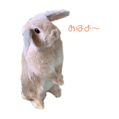 s.s_20220901082001