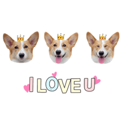 肉肉の好朋友大集合♡