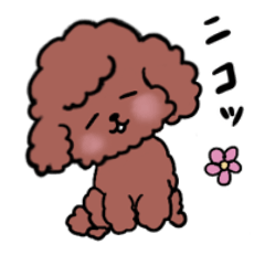 Occasionally bad mood poodle2