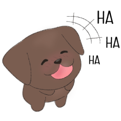 Cute Chocolate Labrador Dog English