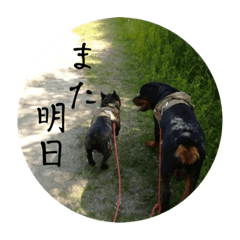 arisa_20220901131638