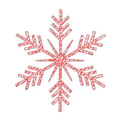 Colorful SNOW_32