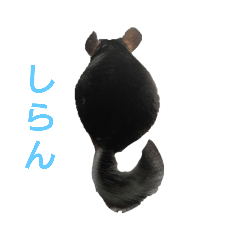 tomomi_20220901060250