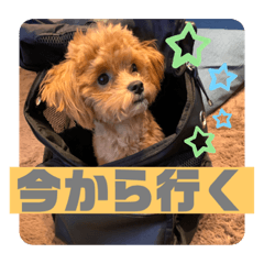 ろいくん9月