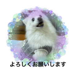 rinrin_20220901204108