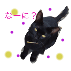 Sachiko_20220901210754