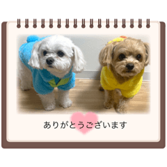 rina_20220901205007