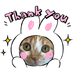 Junko_20220902132243