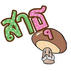Daily life Mushrooms