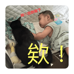 肉包跟熊來個抱抱吧！