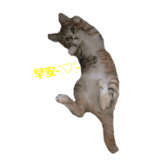 嚕嚕lulu寶