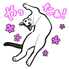 Chigi&Maa Cat Sticker