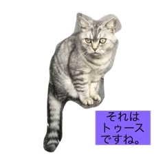 Language of Nagasaki and ANNKW