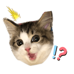 rinrin_20220902022235