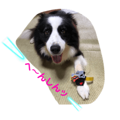 mimiken_20220902105004