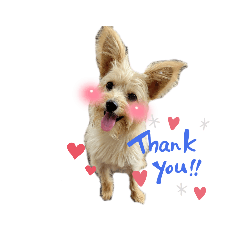 smile_20220903074850